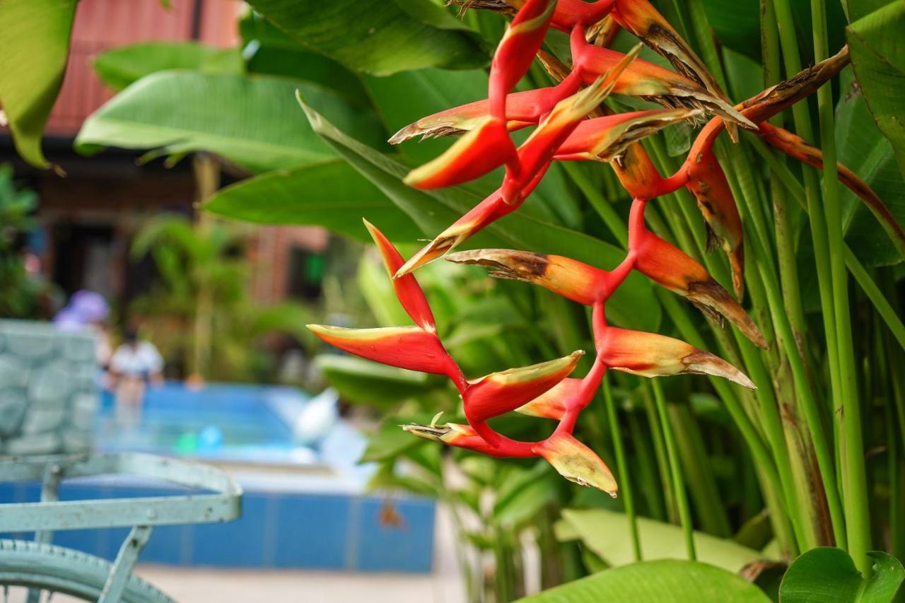 Dangau Sala D'Kontena Alor Setar Ngoại thất bức ảnh