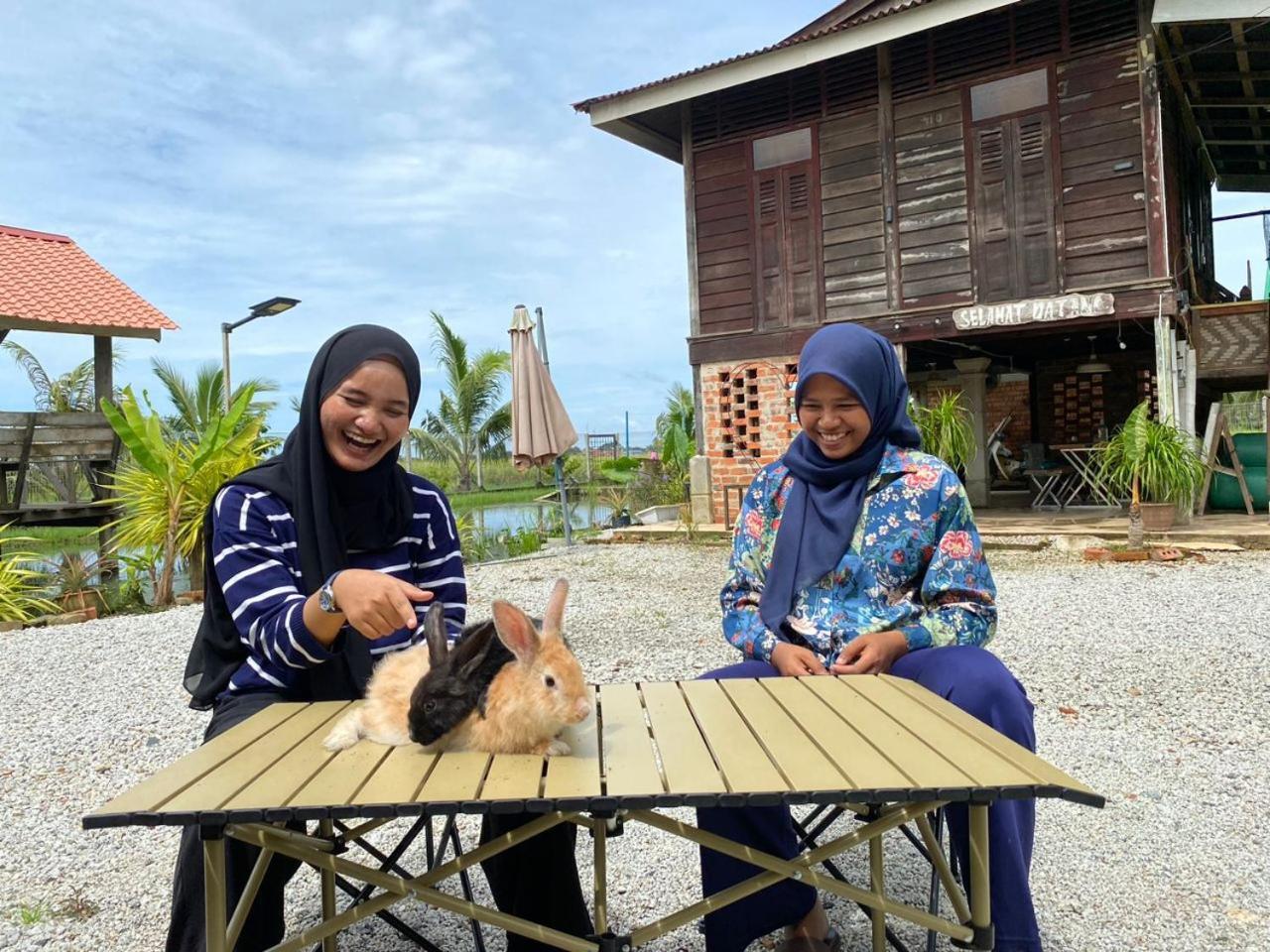 Dangau Sala D'Kontena Alor Setar Ngoại thất bức ảnh