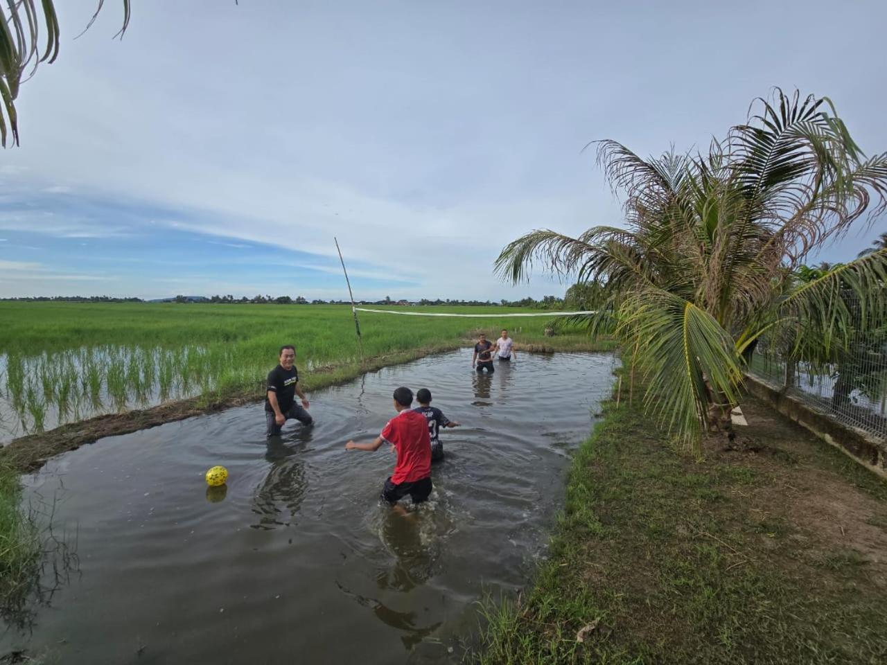 Dangau Sala D'Kontena Alor Setar Ngoại thất bức ảnh